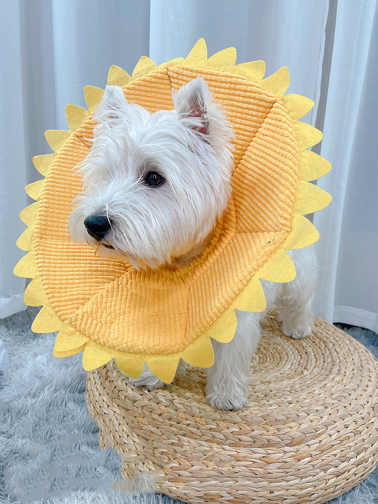 Cat Neck Ornaments Small Dogs Medium-sized Anti-licking Headgear Soft Shame Circle