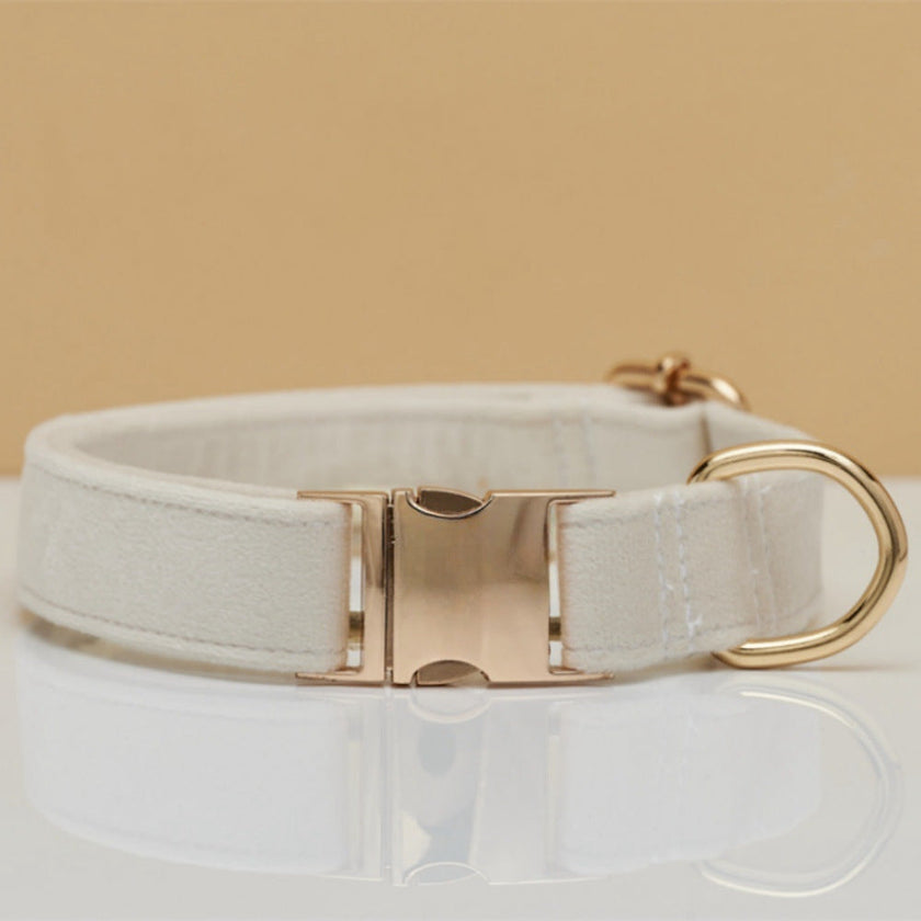 Multiple Colour Velvet Personalise Dog Collar Leash Set With Bow