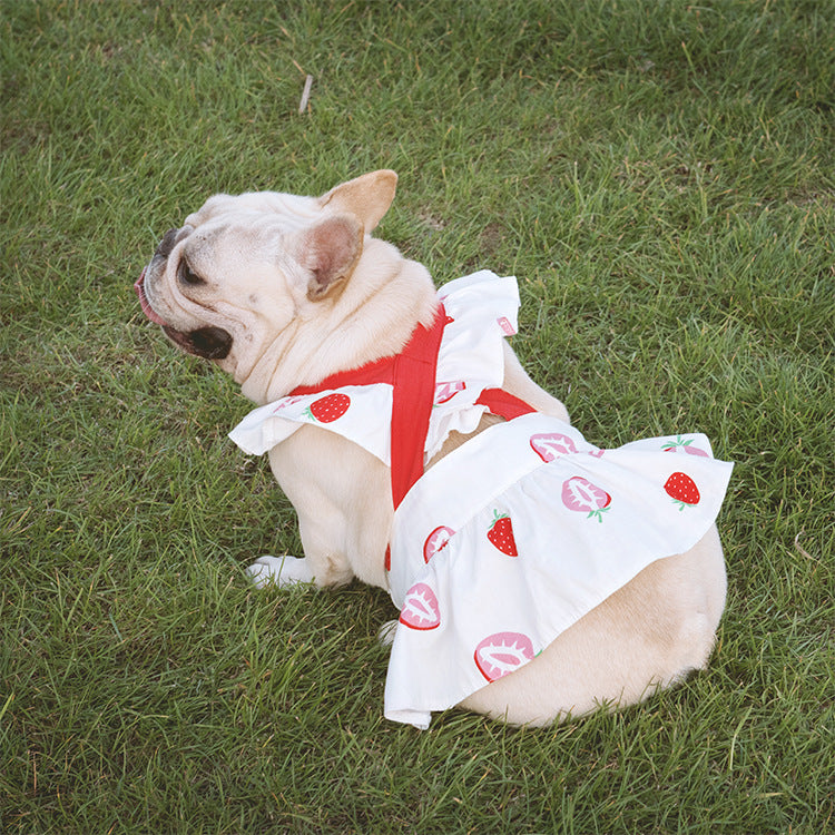 Lotus Leaf Lace Suspender Skirt Fadou Sherry Teddy Small And Medium Sized Dog, Cat And Dog Clothes Bago Strawberry Print