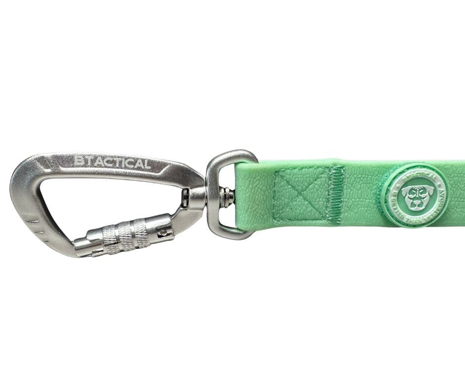 BTactical™ Extra-Strong PVC Carabiner Clip Dog Lead | Pastel Green