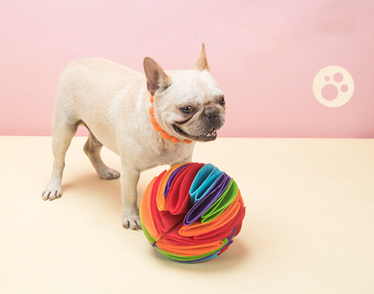 La pelota plegable para comida que el perro huele y de la que se escapa la comida