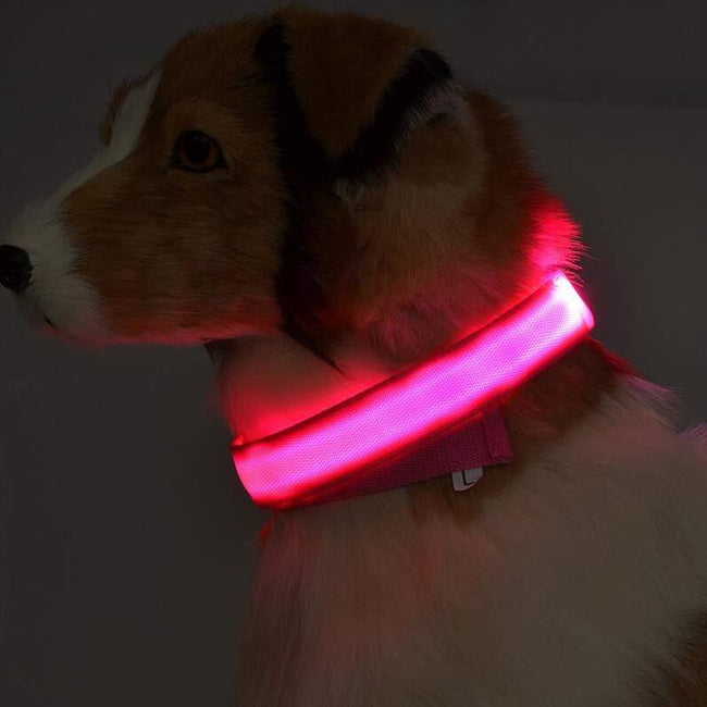 Nylon LED Haustier Hund Leuchthalsband Nachtsicherheit Blinkend Leuchten im Dunkeln Hund Katze Leine Verstellbares Haustierzubehör