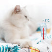 Non-stick hair pet sleeping mat