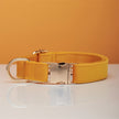 Multiple Colour Velvet Personalise Dog Collar Leash Set With Bow