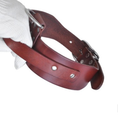 Großes und mittelgroßes Hundehalsband, verstellbares Haustierhalsband