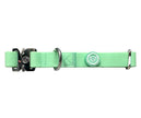 2,5 cm PVC BTactical™ Halsband | Pastellgrün
