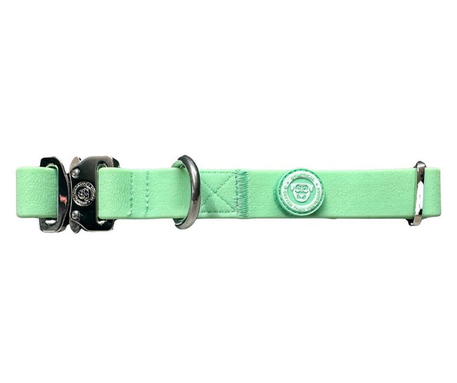 2,5 cm PVC BTactical™ Halsband | Pastellgrün