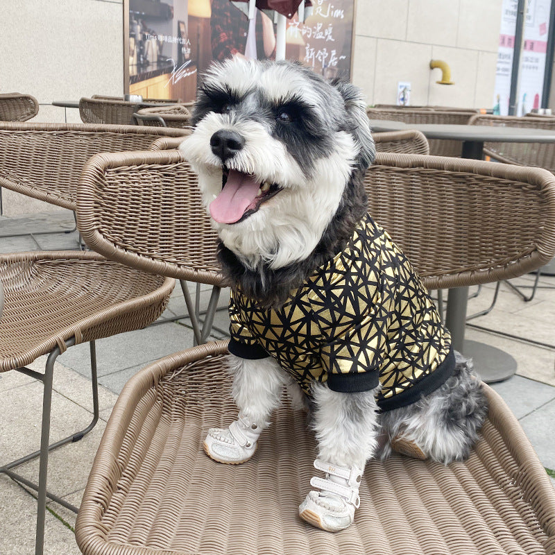Ropa de primavera y verano para perros con estampado de bronceado