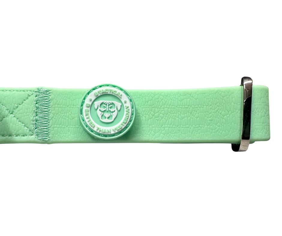 2,5 cm PVC BTactical™ Halsband | Pastellgrün