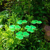 Large Garden Décor Ornaments Set of 5 'Shamrocks'