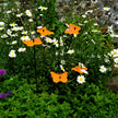 Garden Décor Ornaments Set of 5 'Gatekeeper Butterflies'