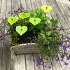 Small Garden Décor Ornaments Set of 5 'Hearts'