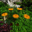 Garden Décor Ornaments Set of 5 'Smiling Suns'