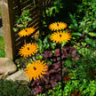 Garden Décor Ornaments Set of 5 'Smiling Suns'