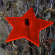 Garden Décor Ornaments Set of 5 'Shining Stars'