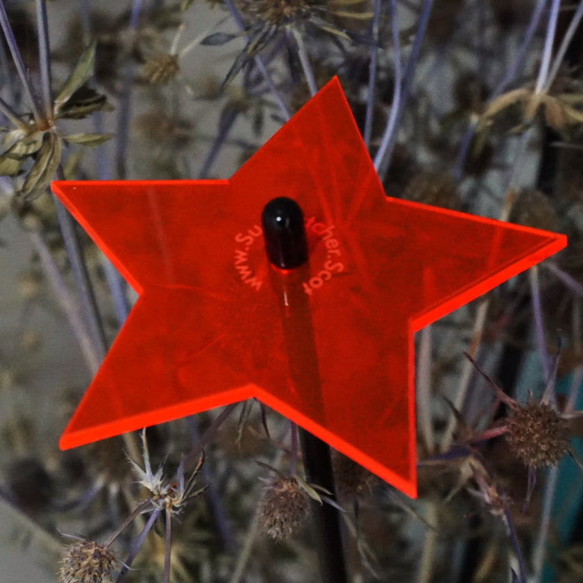 Garden Décor Ornaments Set of 5 'Shining Stars'