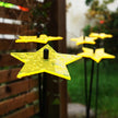 Garden Décor Ornaments Set of 5 'Shining Stars'