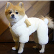 Dog Pet Parent Child Turned Into Goat Four Legged Clothes
