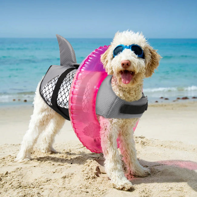 Life Jacket Swimming Clothes Corgi Golden Fur Chai Dog