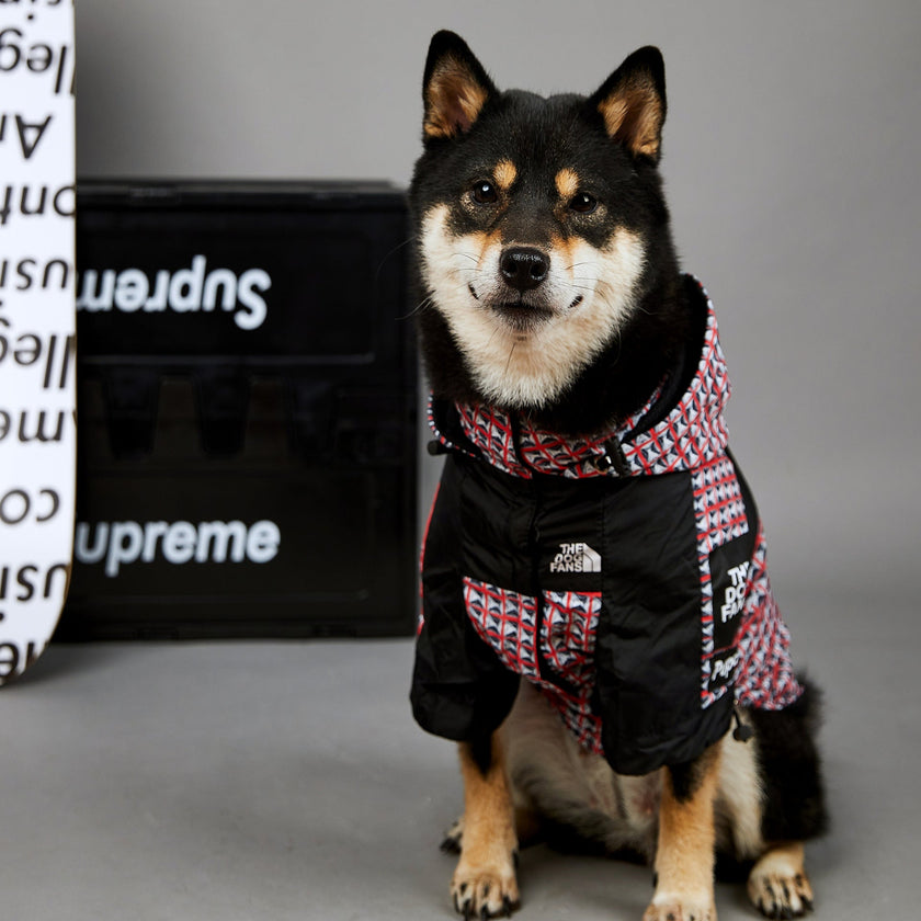 Fashion Brand Windproof And Rainproof New Dog Raincoat Shell Jacket