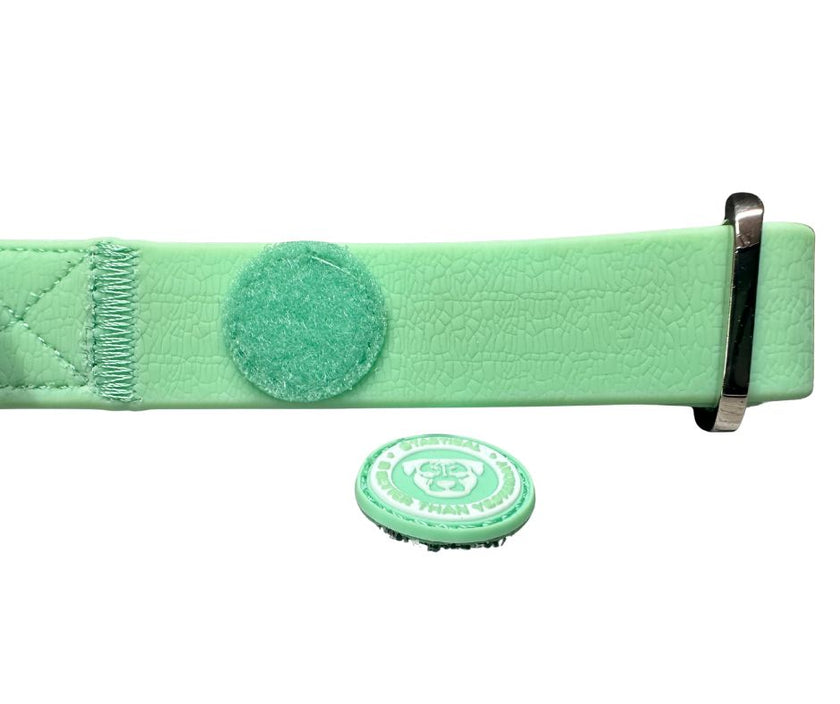 2,5 cm PVC BTactical™ Halsband | Pastellgrün