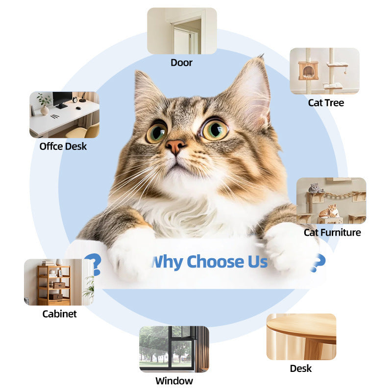 Retractable Automatic Remote-controlled Pet Toy