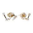 Diamonfire Zodiac Constellation Stud Earrings