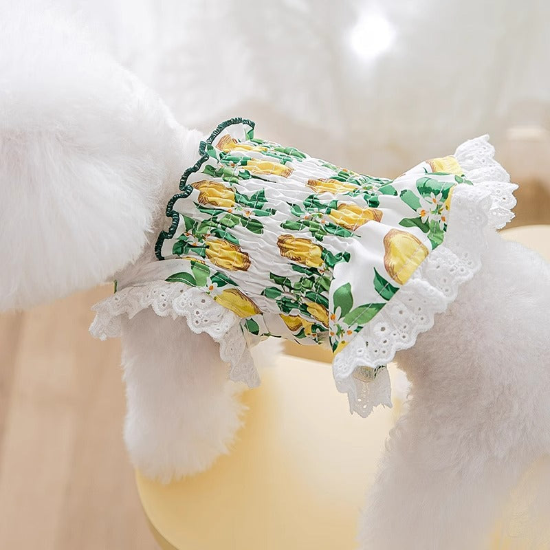 Ropa para Perro Fina Transpirable Falda con Tirantes