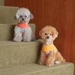 INS Dog Leash Chest Strap Cotton Woven Pet Pull Rope