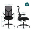 Auraspine Ergonomic Mesh Office Chair with Adjustable Lumbar Support & Breathable Backrest