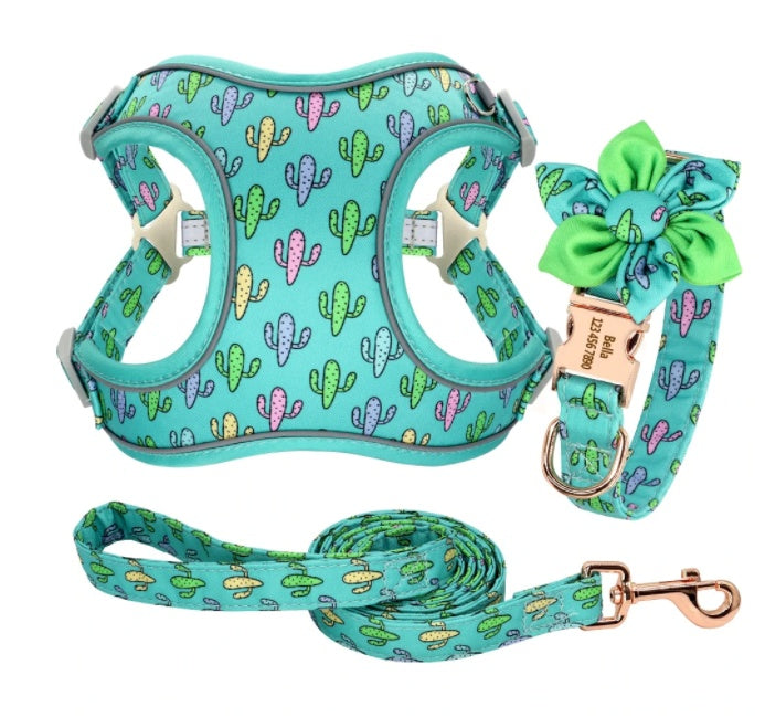 Teddy Pomeranian Bichon Kleiner Hund Mittelgroße Weste Halsband Brustgurt Seilkette