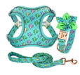 Teddy Pomeranian Bichon Kleiner Hund Mittelgroße Weste Halsband Brustgurt Seilkette