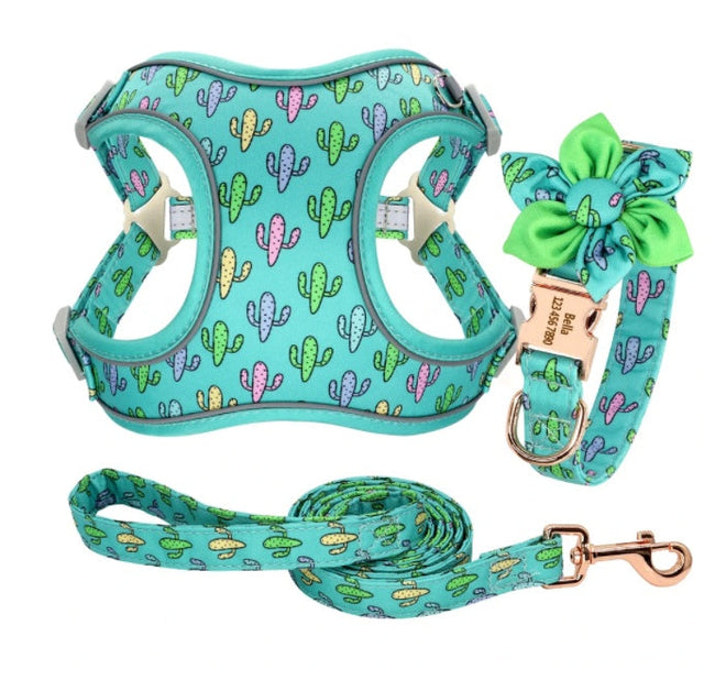 Teddy Pomeranian Bichon Kleiner Hund Mittelgroße Weste Halsband Brustgurt Seilkette