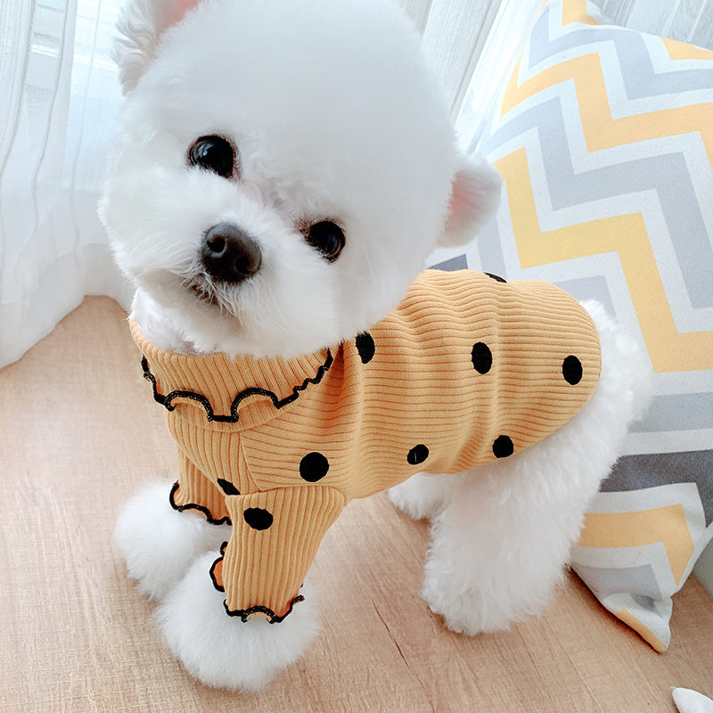 Gepunktetes Rollkragenhalsband für Hunde