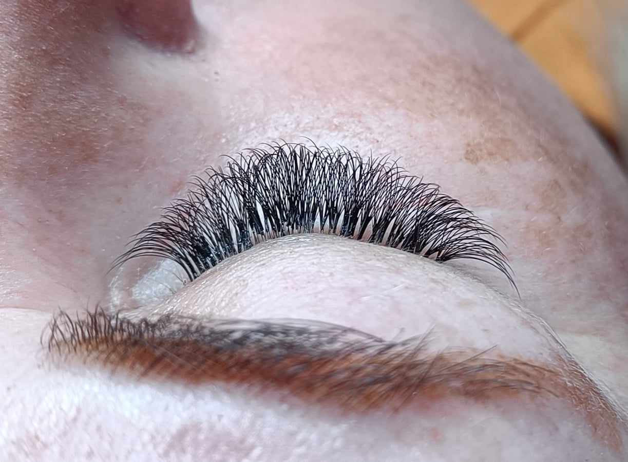 6D Clover 16 Row Mixed Tray