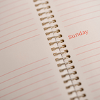 2026 Desk Diary - Day-a-Page Planner - Red