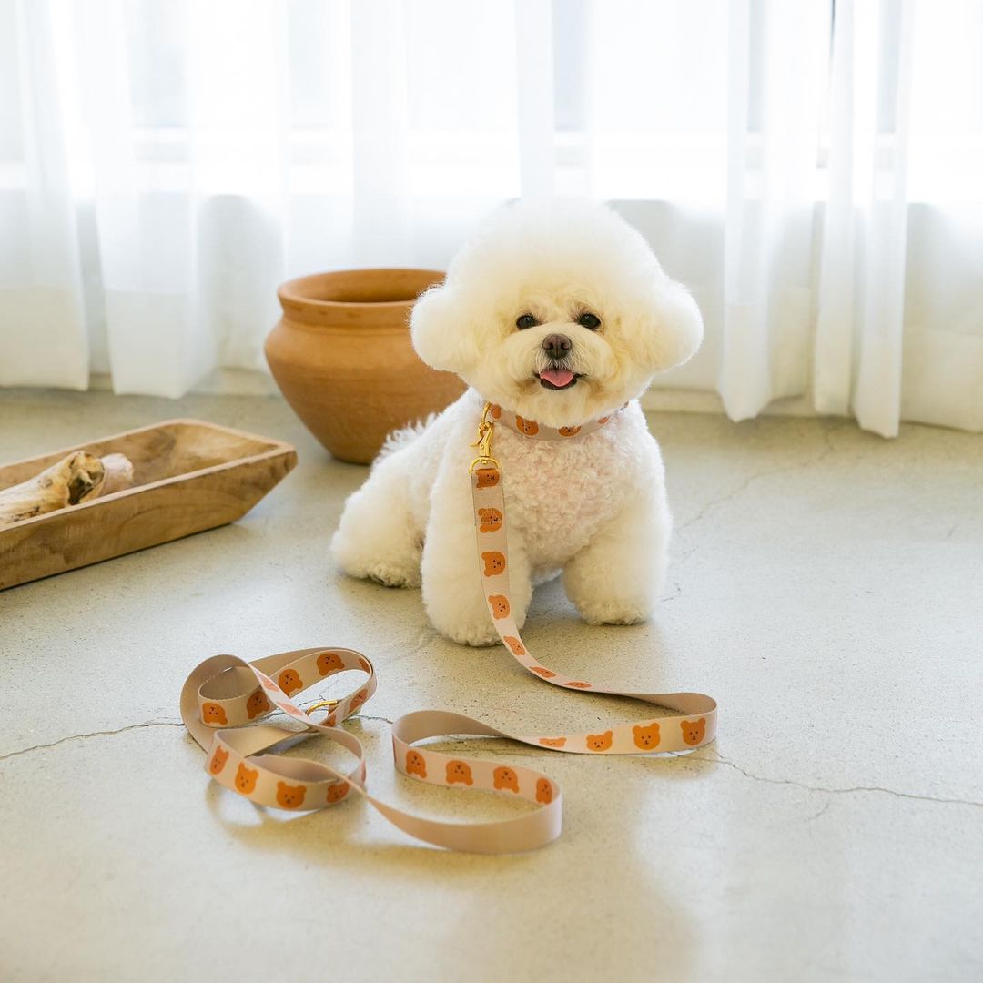 New Dog Pet Bear Cute Traction Soft And Durable Rope