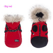 Pet Autumn And Winter Fleece-lined Thickened Dog Clothes Raincoat Strap Traction