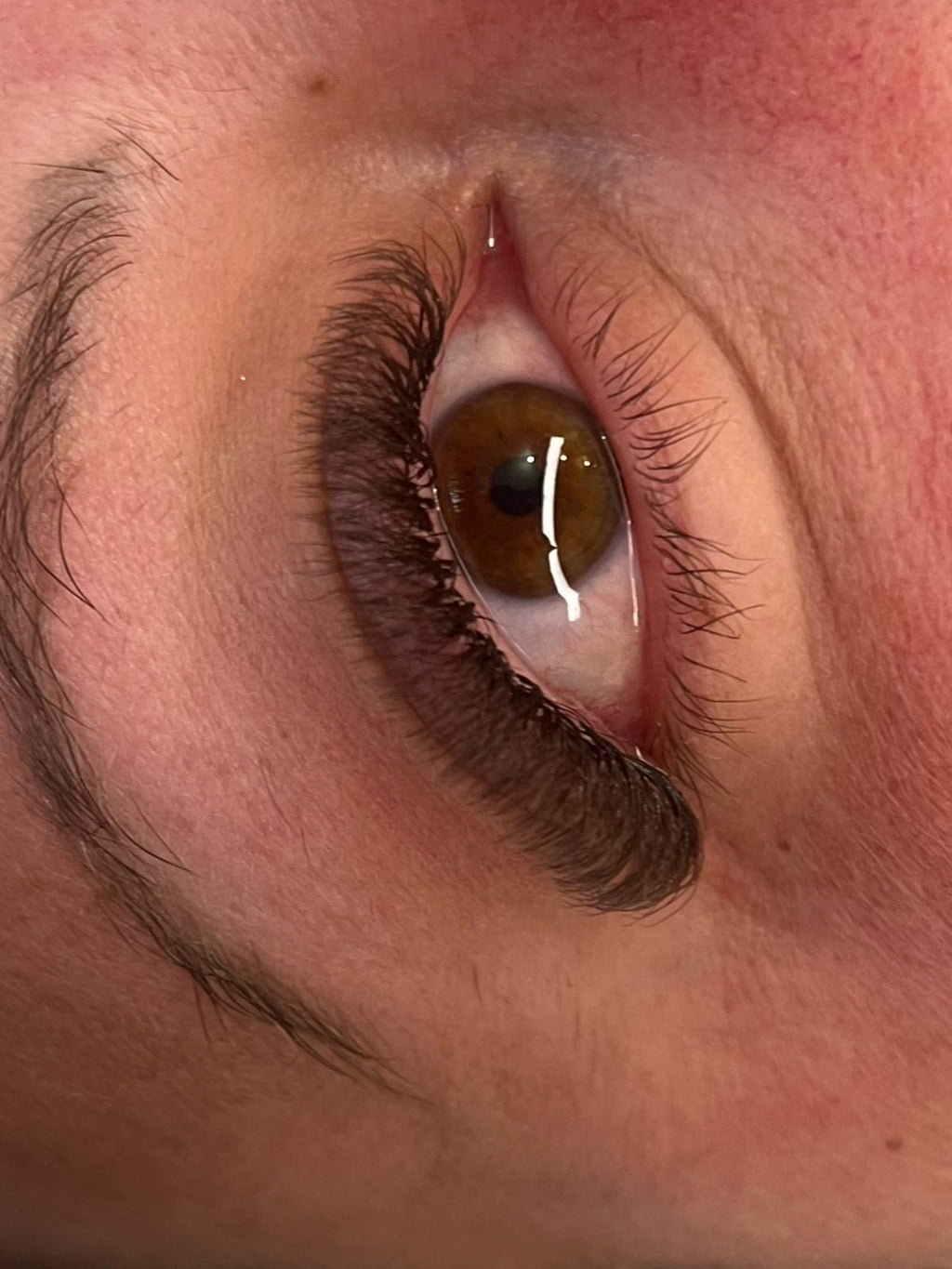 Brown 6D Clover Lash 16 Row Mixed Tray