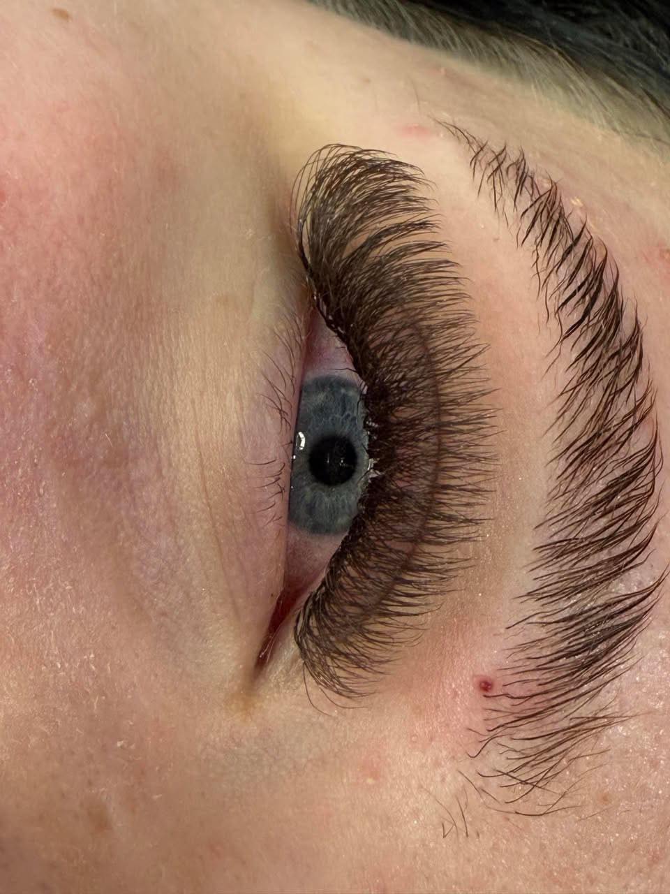 Brown 6D Clover Lash 16 Row Mixed Tray