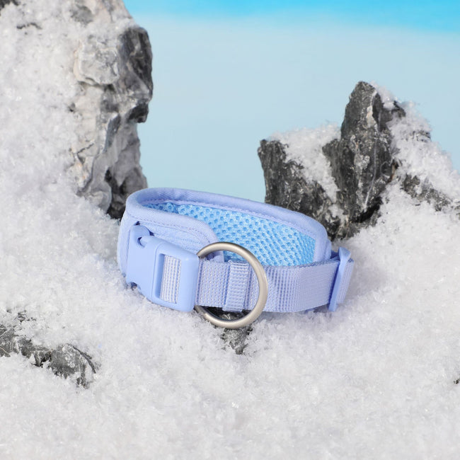 Hand Holding Rope Explosion-proof Chest Back Suit Widened Pet Collar Mini Schoolbag Dog Stool Bag