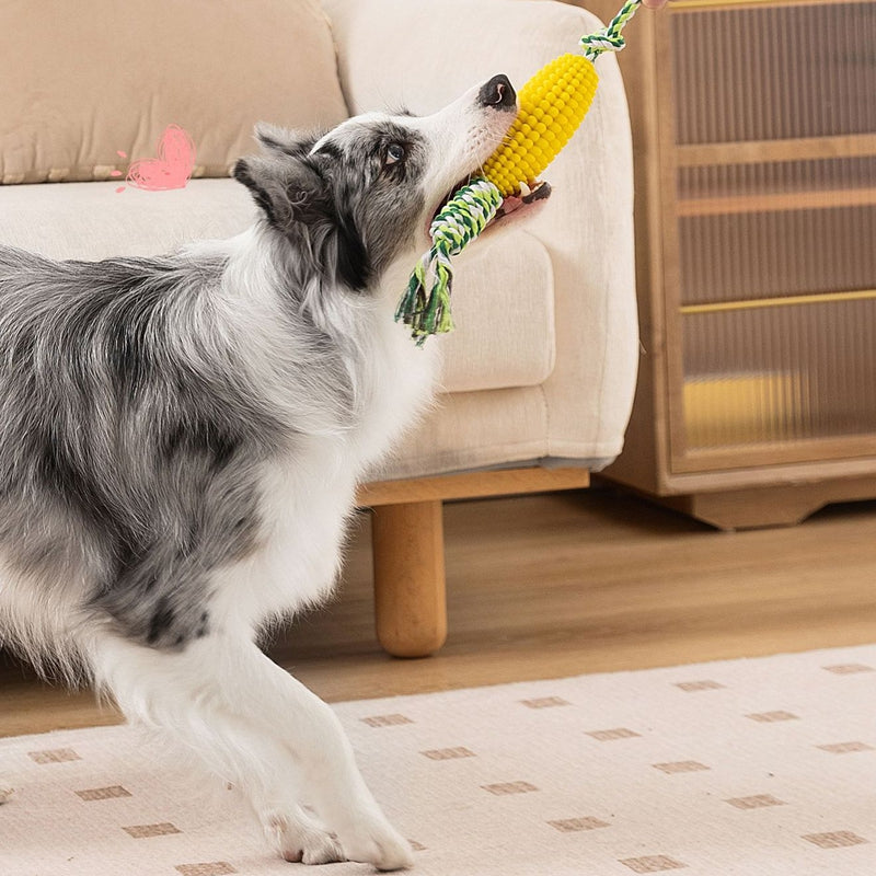 Juguetes para masticar Nudo de bola de maíz para mascotas, limpieza de dientes para perros grandes y pequeños, juguetes para perros anudados para morder y aburrir
