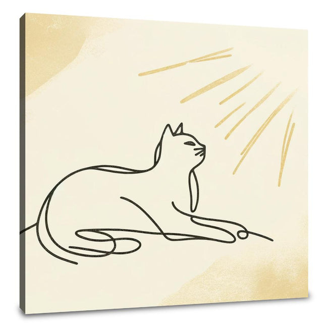 Sunlit Cat Canvas