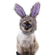 Pet Headgear Cute Dog Teddy Dress Up SUNFLOWER Cat Headdress Wig Cat Headgear Hat
