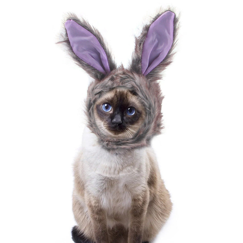 Pet Headgear Cute Dog Teddy Dress Up SUNFLOWER Cat Headdress Wig Cat Headgear Hat