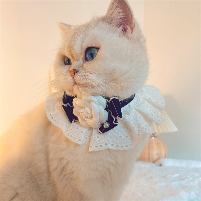 Lazo de encaje para cuello de mascota, estilo Fashion Cat