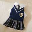 Cat Dog Skirt Hair Loss Spring And Autumn Cute Clothes