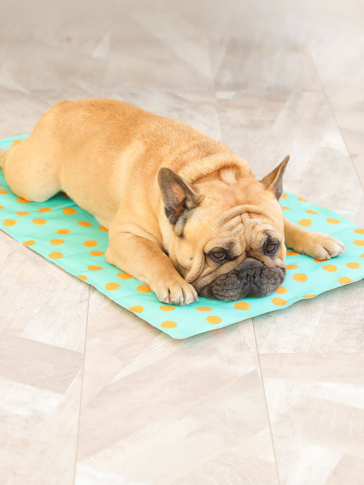 Almohadilla de gel helada para mascotas