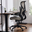 Auraspine Ergonomic Mesh Office Chair with Adjustable Lumbar Support & Breathable Backrest
