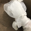 Korean White Sarong Dog Skirt